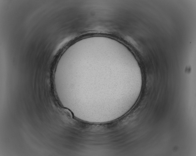 X0000091971307200710041041