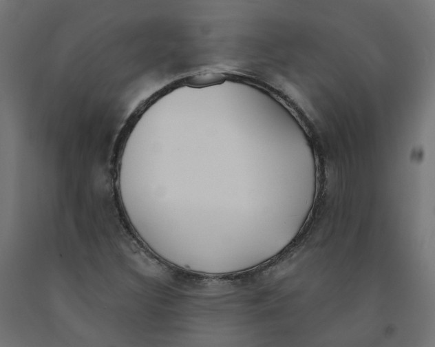X0000091971308200710041041
