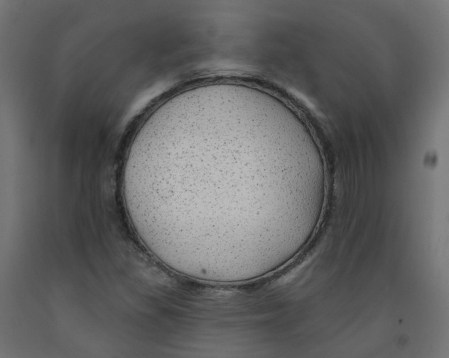 X0000091971309200710041041