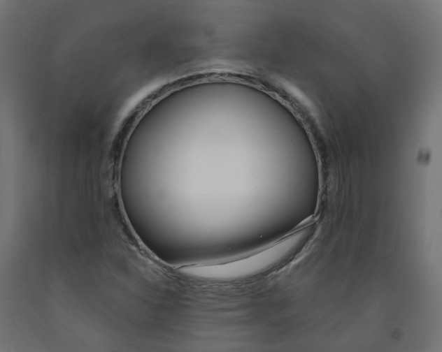 X0000091971310200710041041