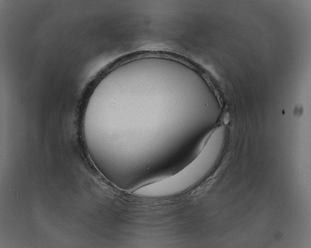 X0000091971311200710041041