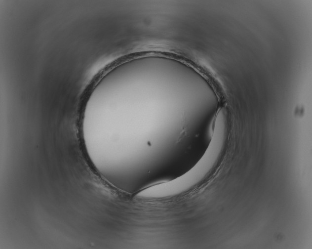 X0000091971312200710041041