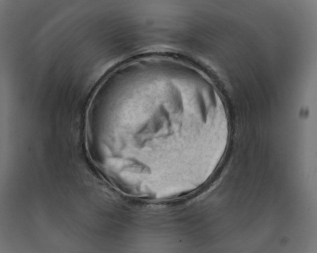 X0000091971313200710041041