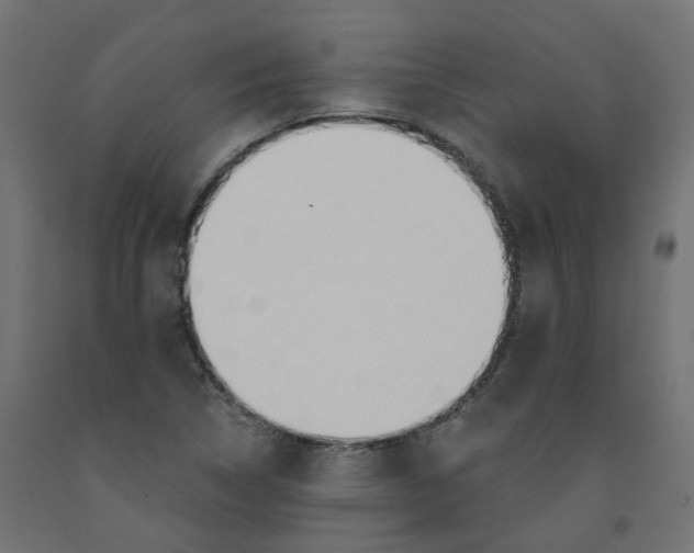 X0000091971314200710041041