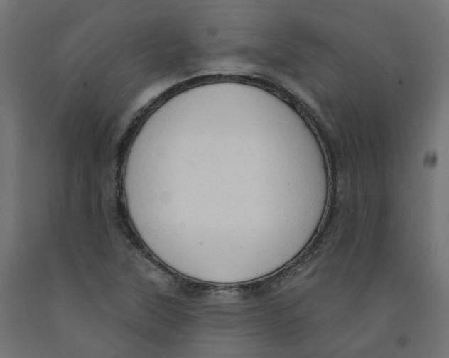 X0000091971315200710041041