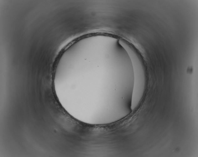 X0000091971316200710041041