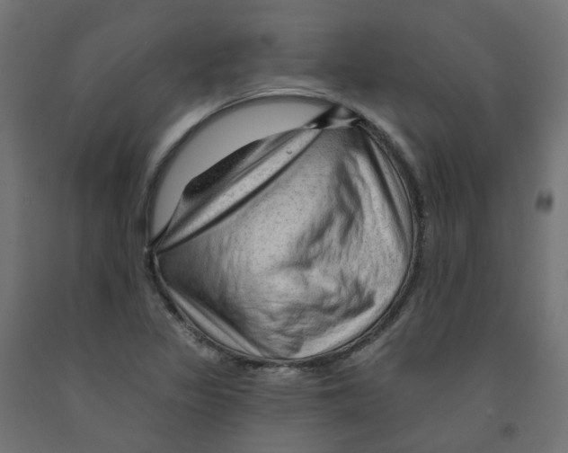 X0000091971317200710041041