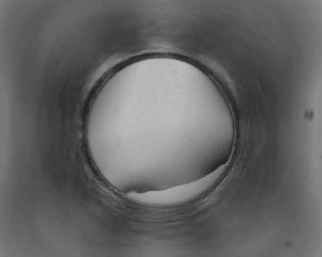 X0000091971318200710041041