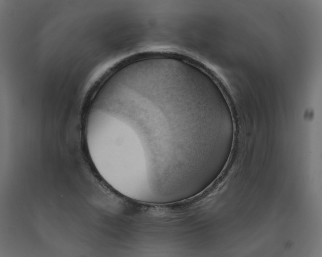 X0000091971319200710041041