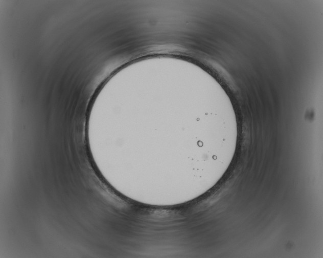X0000091971322200710041041