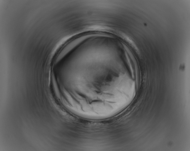 X0000091971323200710041041