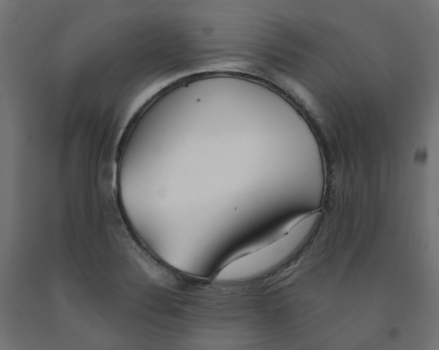 X0000091971324200710041041