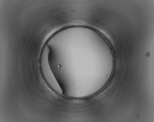 X0000091971325200710041041