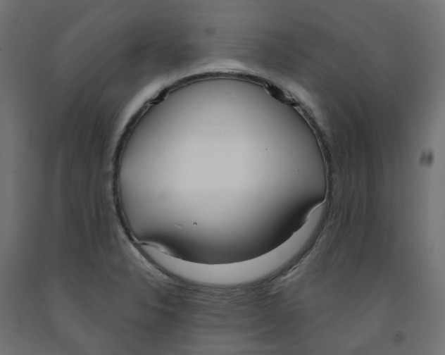 X0000091971326200710041041