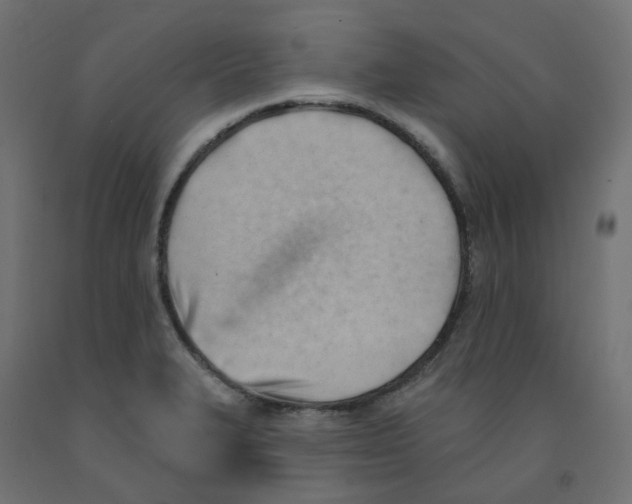 X0000091971327200710041041