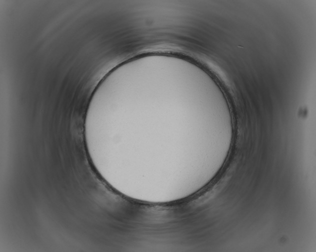 X0000091971329200710041041
