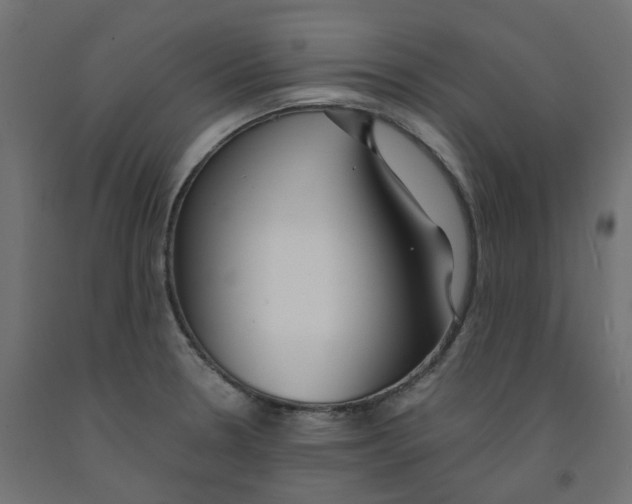 X0000091971330200710041041