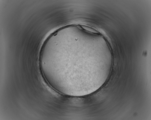 X0000091971331200710041041