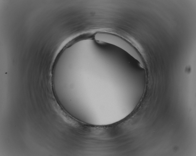 X0000091971332200710041041