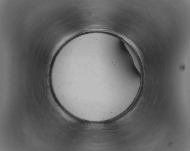 X0000091971333200710041041