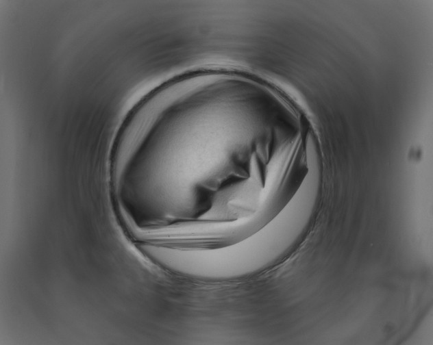 X0000091971335200710041041