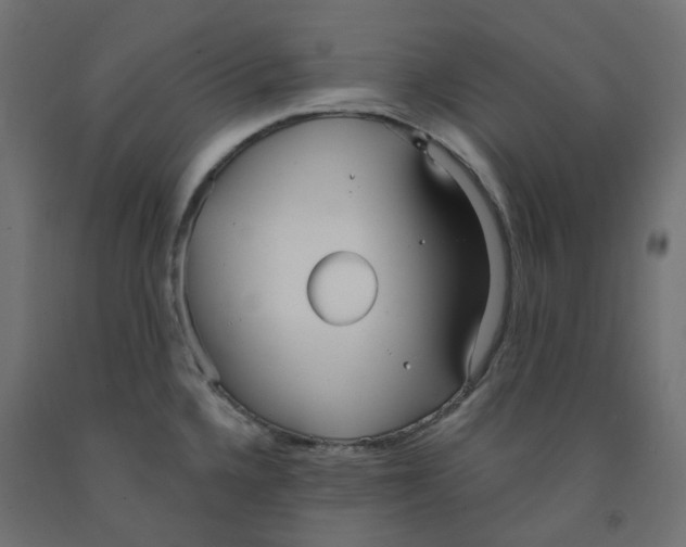 X0000091971336200710041041