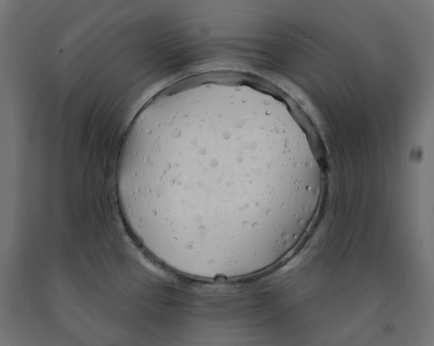 X0000091971337200710041041