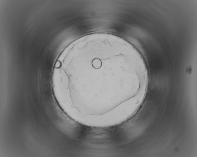 X0000091971338200710041041