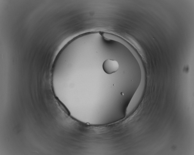 X0000091971340200710041041