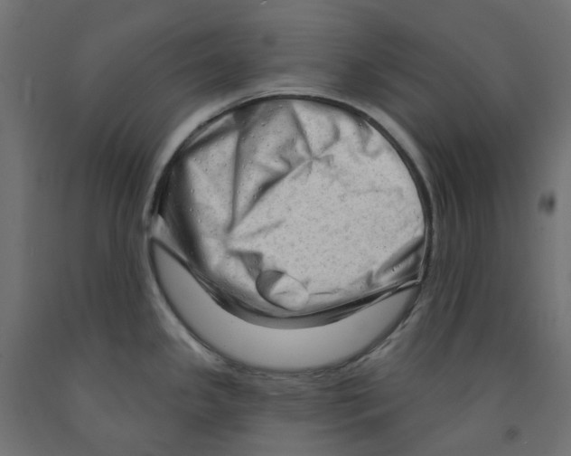 X0000091971341200710041041