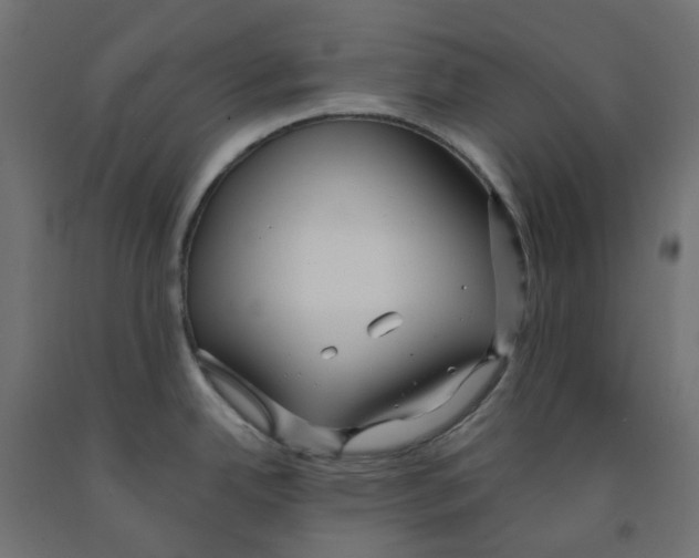 X0000091971342200710041041