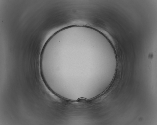 X0000091971343200710041041