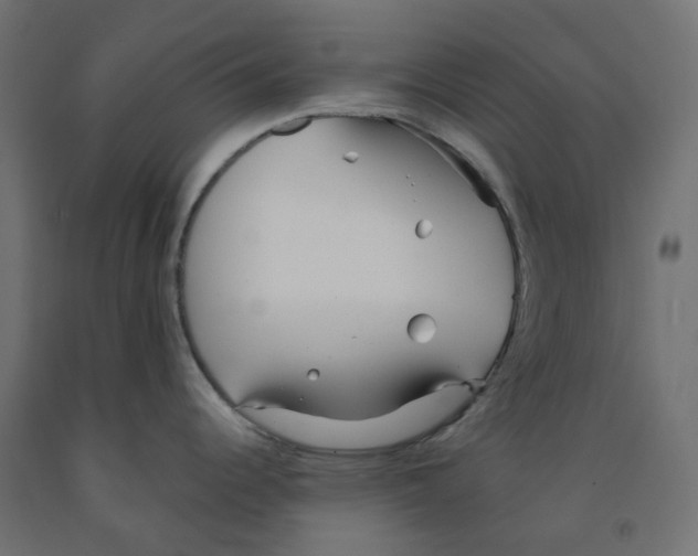 X0000091971344200710041041