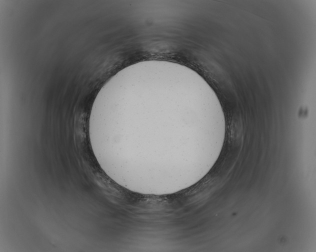 X0000091971346200710041041