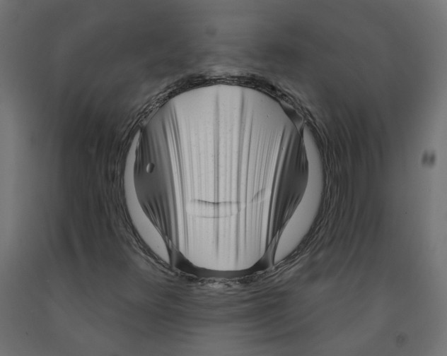 X0000091971348200710041041