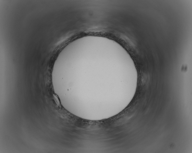 X0000091971350200710041041