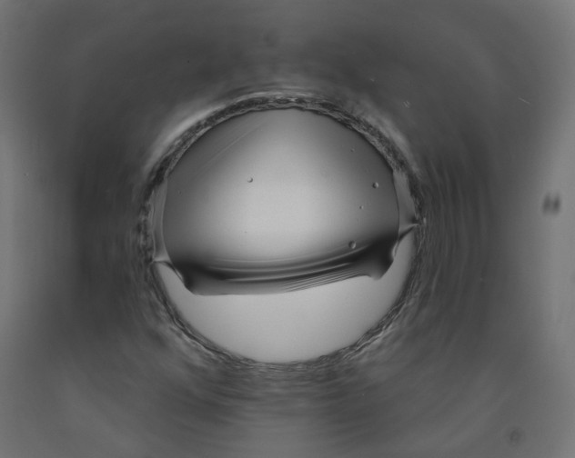 X0000091971352200710041041