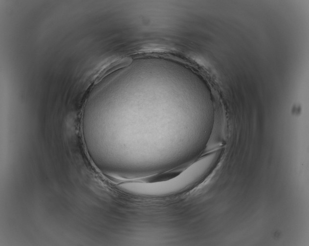 X0000091971353200710041041
