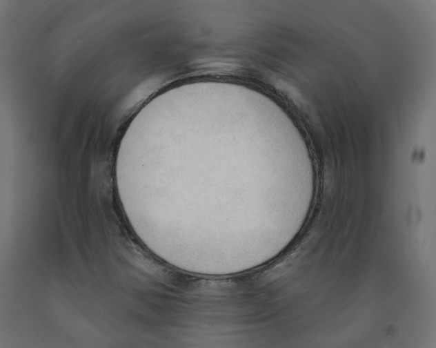 X0000091971354200710041040
