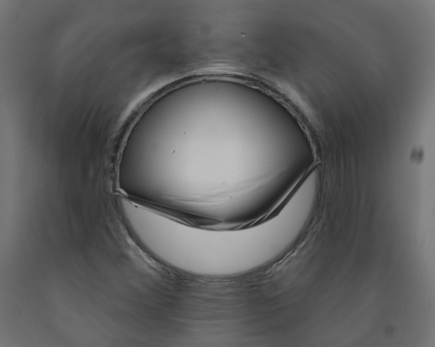 X0000091971356200710041040