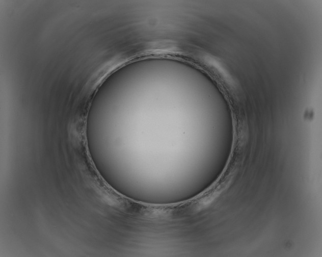 X0000091971361200710041040