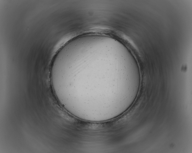 X0000091971362200710041040