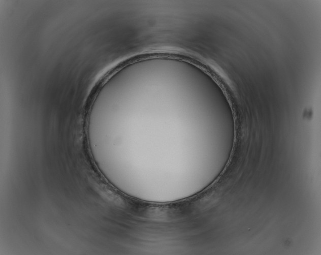 X0000091971364200710041040