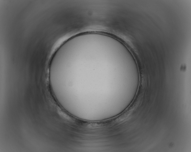 X0000091971366200710041040