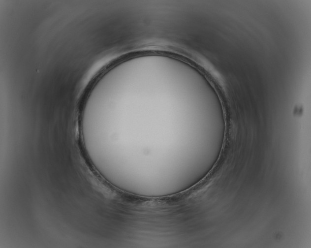 X0000091971368200710041040