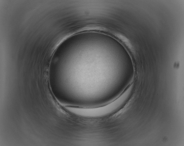 X0000091971369200710041040