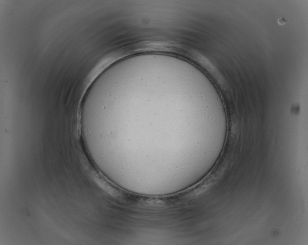 X0000091971370200710041040