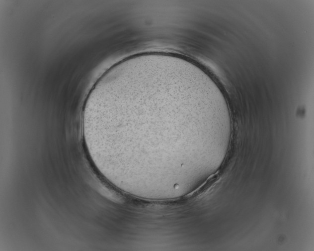 X0000091971371200710041040