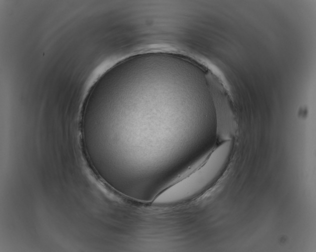 X0000091971373200710041040