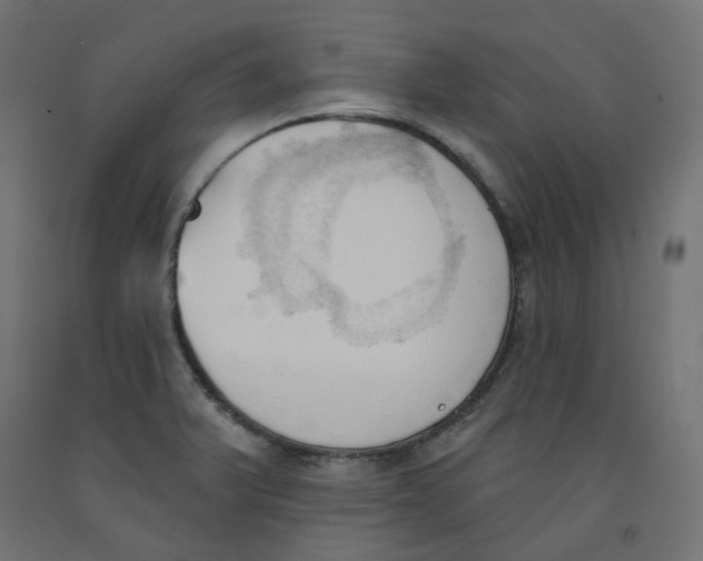 X0000091971375200710041040